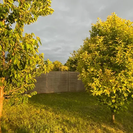 Balaton